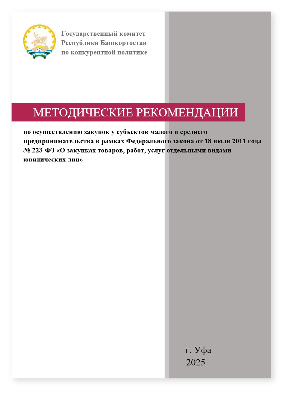 Metodichka SMSP 2025 УФА — cover